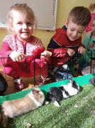 większy obrazek nr 17