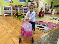 większy obrazek nr 9