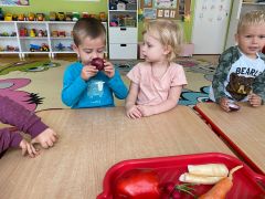 większy obrazek nr 1