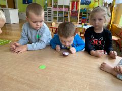 większy obrazek nr 9