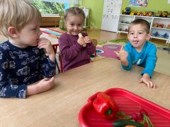 większy obrazek nr 13