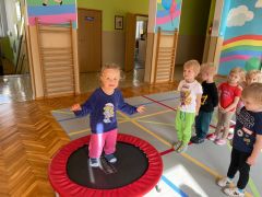 większy obrazek nr 12