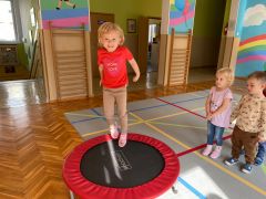 większy obrazek nr 18