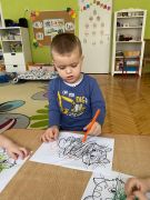 większy obrazek nr 2