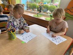 większy obrazek nr 8