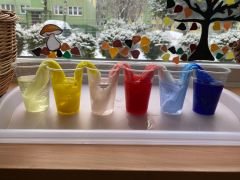 większy obrazek nr 1