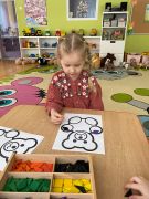 większy obrazek nr 13