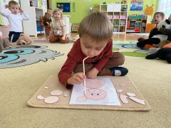 większy obrazek nr 17