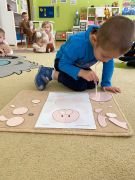 większy obrazek nr 59