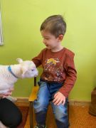 większy obrazek nr 22