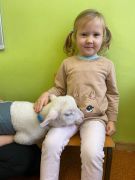 większy obrazek nr 7