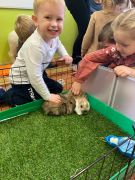 większy obrazek nr 8