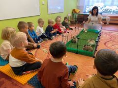 większy obrazek nr 24