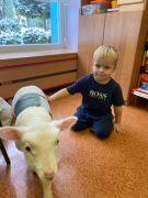 większy obrazek nr 23