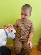 większy obrazek nr 28