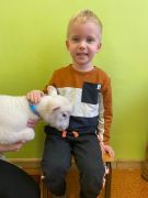 większy obrazek nr 31