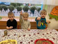 większy obrazek nr 7