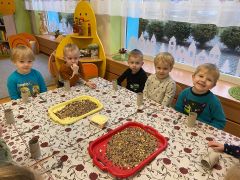 większy obrazek nr 14