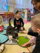 większy obrazek nr 17