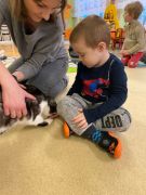 większy obrazek nr 22