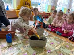 większy obrazek nr 3