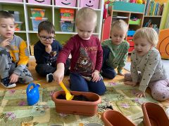 większy obrazek nr 5