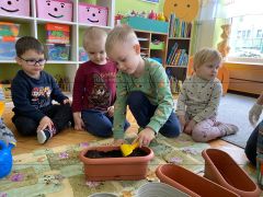 większy obrazek nr 6