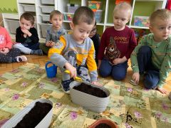 większy obrazek nr 7