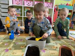 większy obrazek nr 8