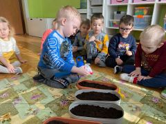 większy obrazek nr 11