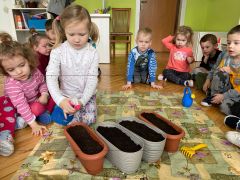 większy obrazek nr 13