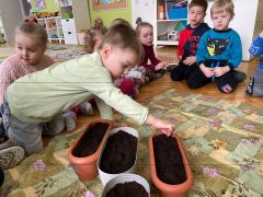 większy obrazek nr 16