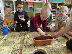 większy obrazek nr 19