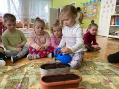 większy obrazek nr 24