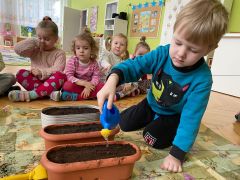 większy obrazek nr 26