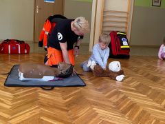 większy obrazek nr 9