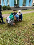 ilustracja do wpisu 
Co w trawie piszczy - obserwacje przyrodnicze 15.05.2023r