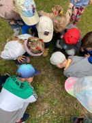 większy obrazek nr 3