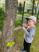 większy obrazek nr 5