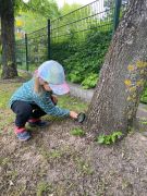 większy obrazek nr 9