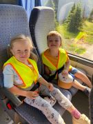 większy obrazek nr 7