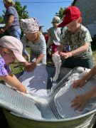 większy obrazek nr 21