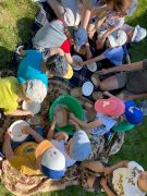 większy obrazek nr 28