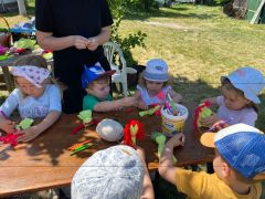 większy obrazek nr 36