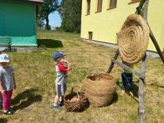 większy obrazek nr 49