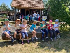 większy obrazek nr 50