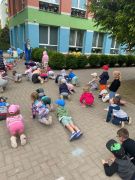 większy obrazek nr 17