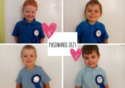 większy obrazek nr 2