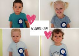 większy obrazek nr 3