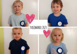 większy obrazek nr 4